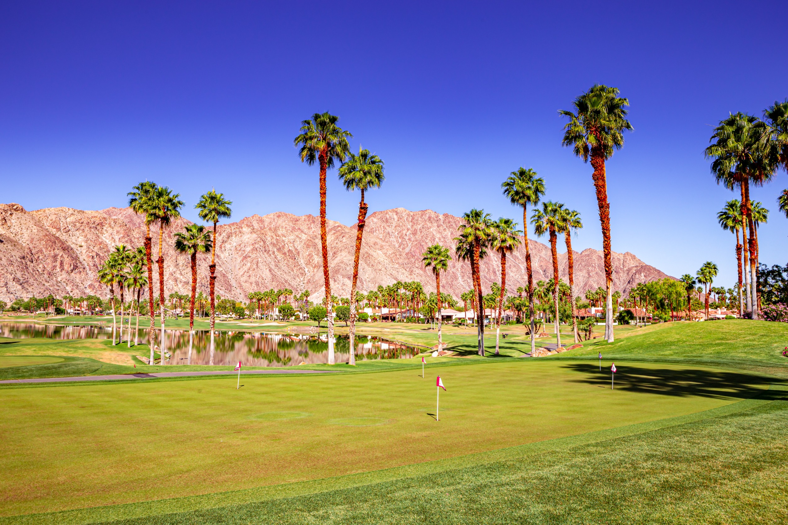 You are currently viewing Palm Springs in One Day: The Ultimate 24-Hour Guide