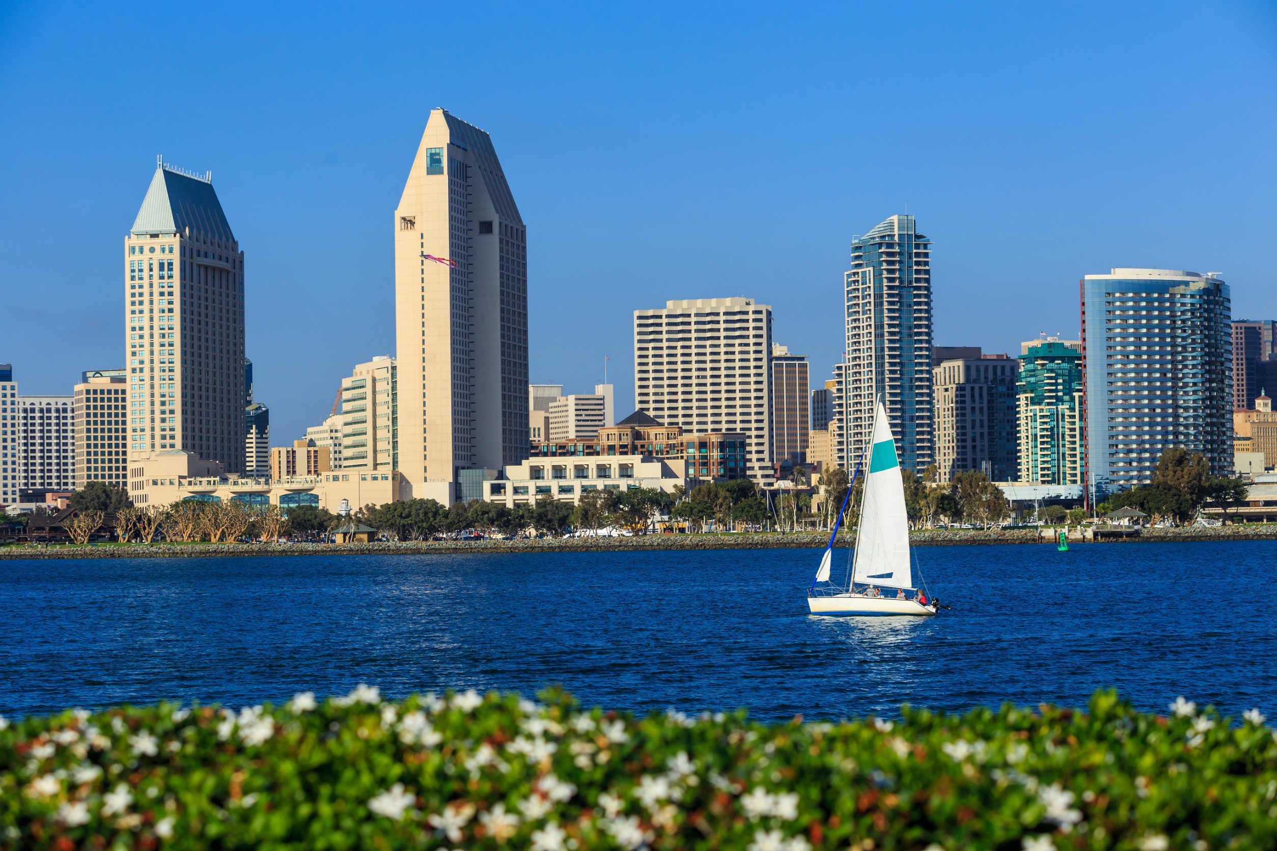 You are currently viewing Best Places to Visit in San Diego in One- Day