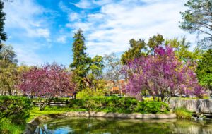 Read more about the article Sacramento, California, Is it Worth Visiting?
