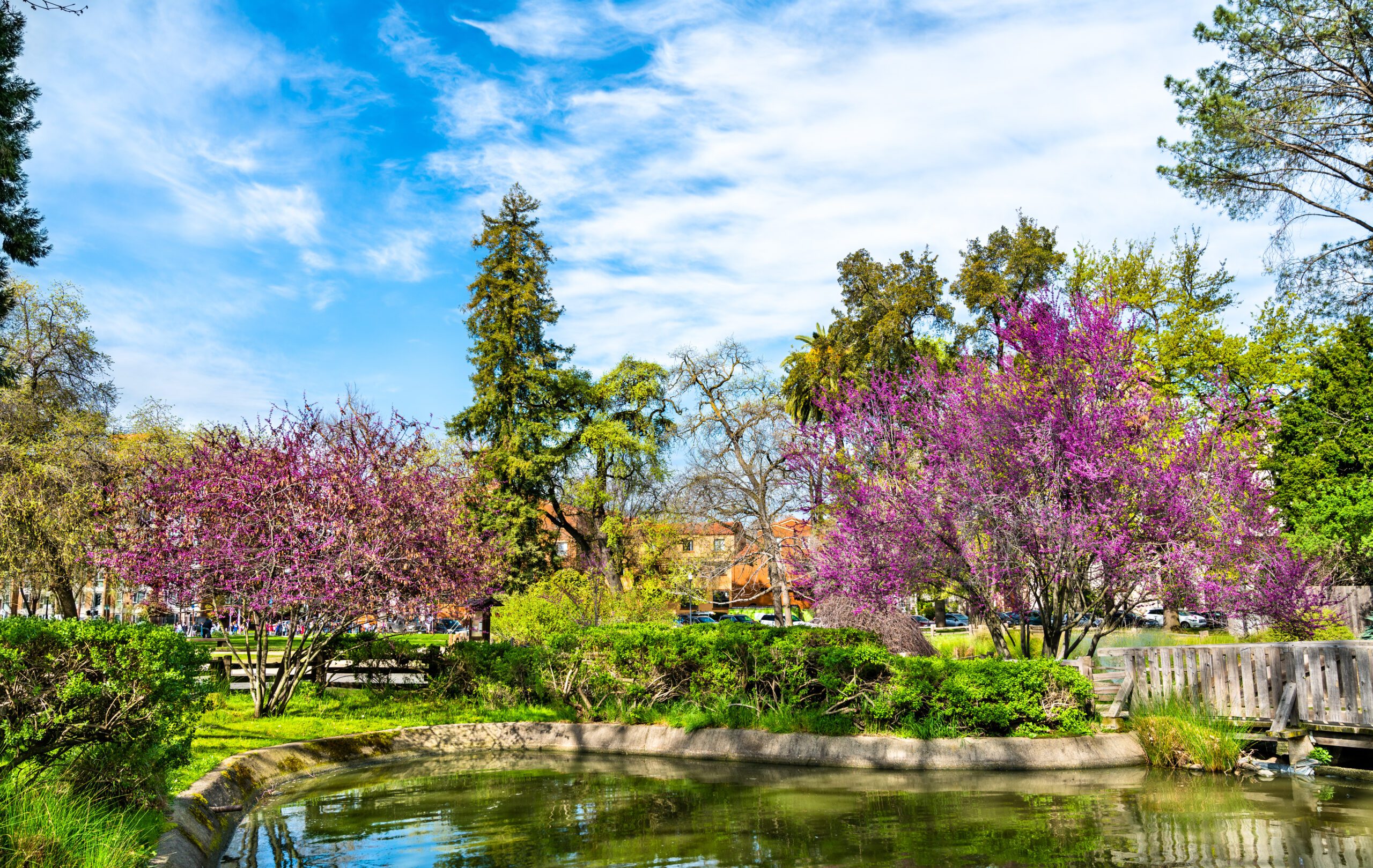 You are currently viewing Sacramento, California, Is it Worth Visiting?