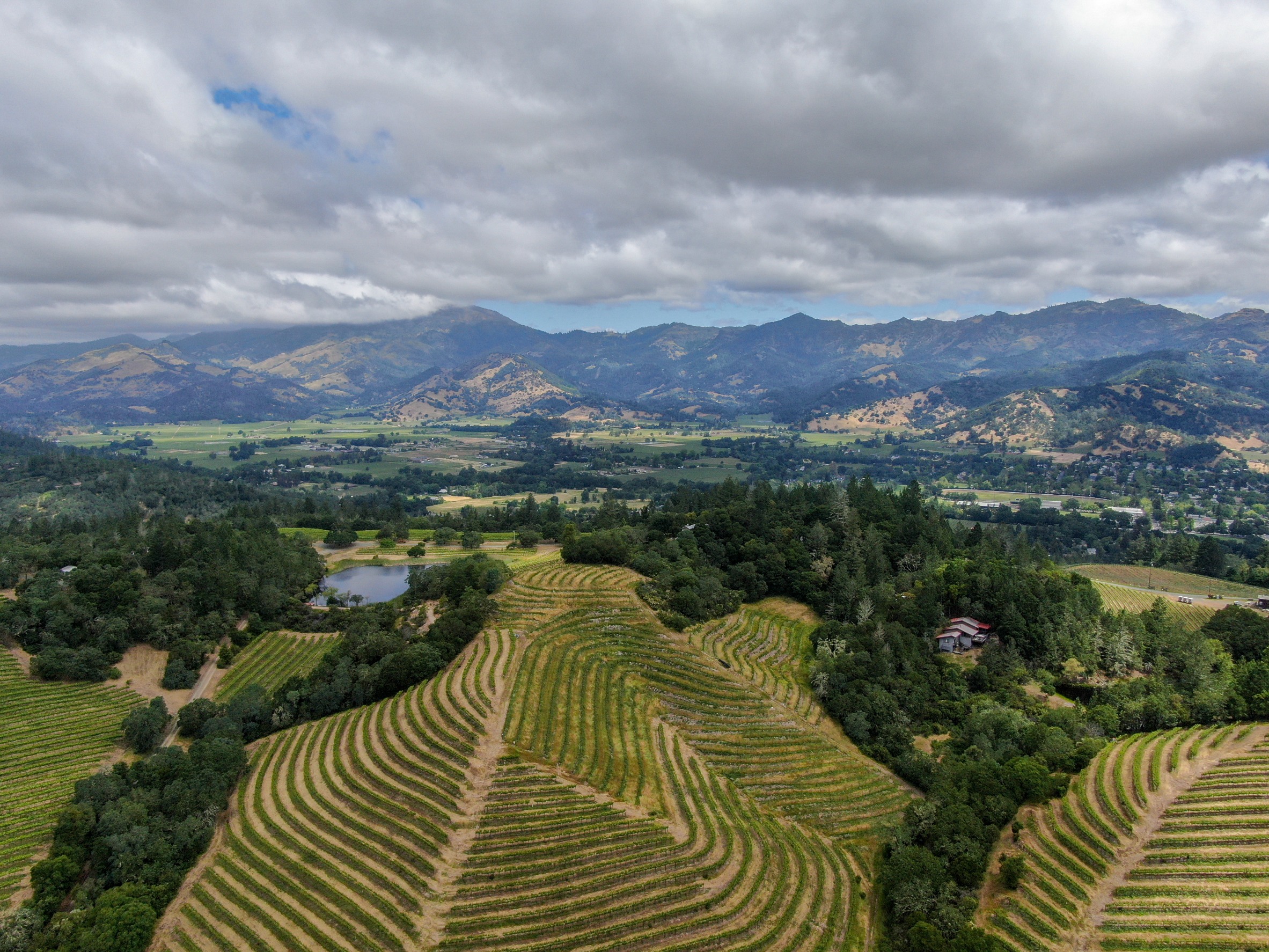 You are currently viewing Sip, Savor, & Soak: Cities of Napa Valley Unveiled