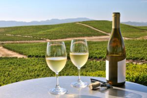 Read more about the article Discover the Best of Napa in Just One Day (24 Hours)!