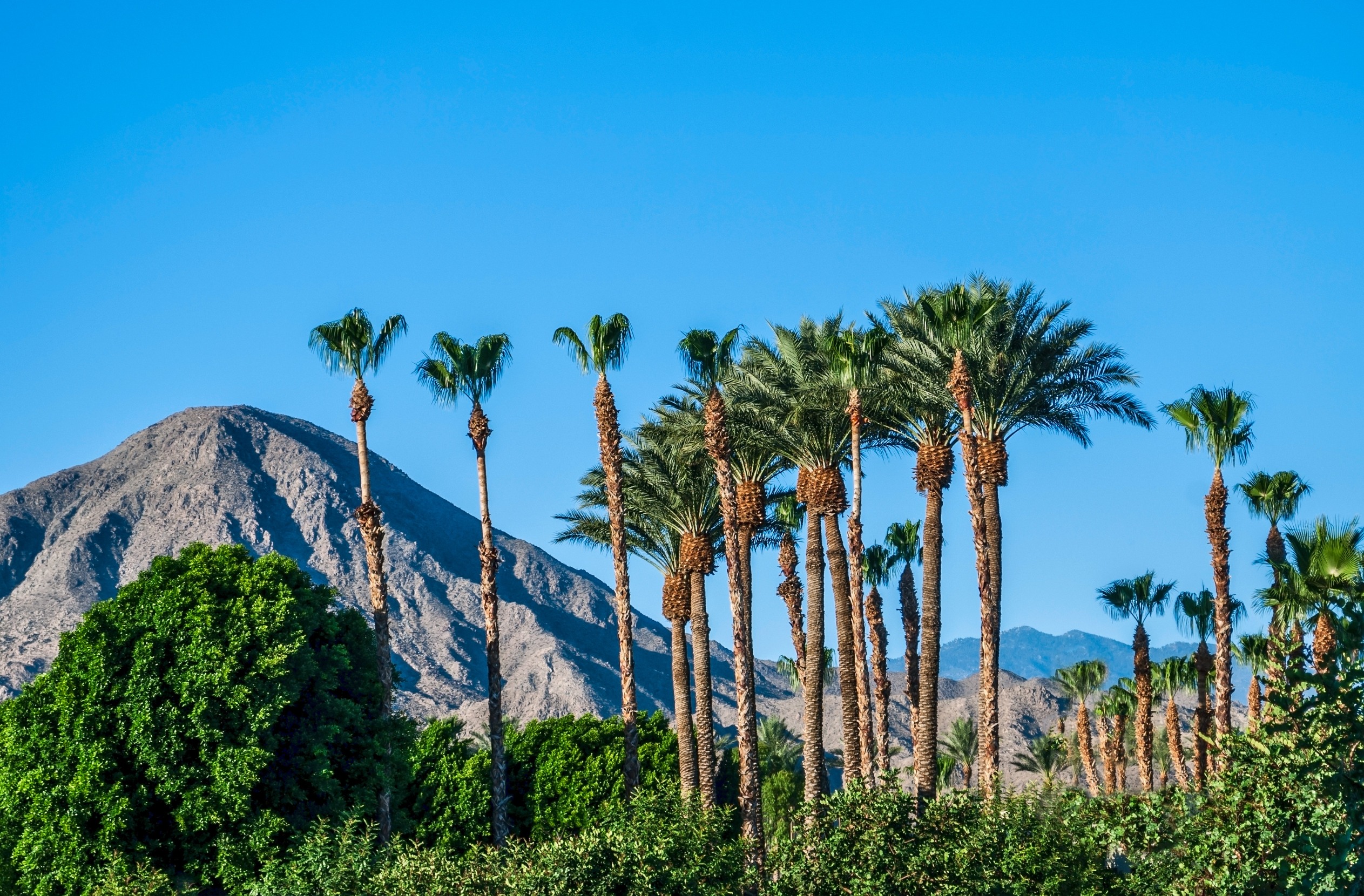 You are currently viewing What is the Best Month to Visit Palm Springs?