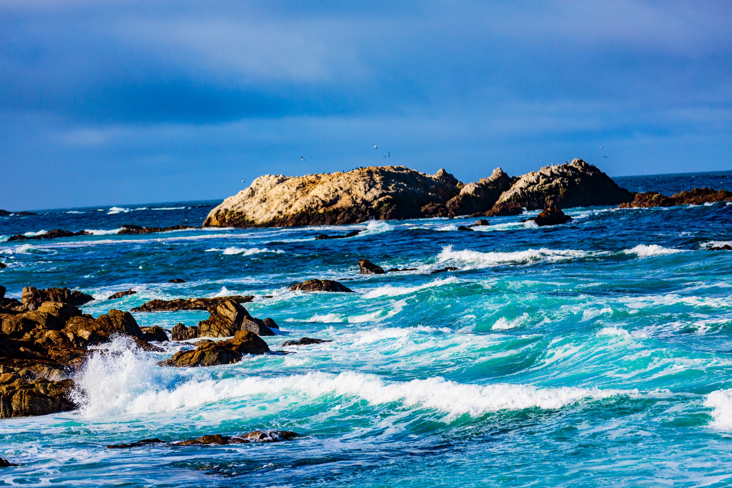 You are currently viewing 1 Day in Monterey: Behold the 17-Mile Drive and More