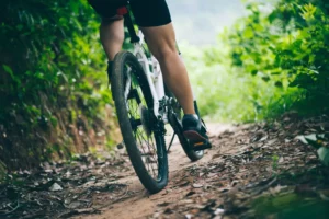 Read more about the article Best Biking Trails in Berkeley: Easy to Expert