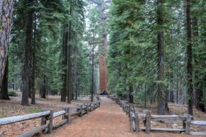 Read more about the article Cities Near Yosemite National Park: Hidden Gems